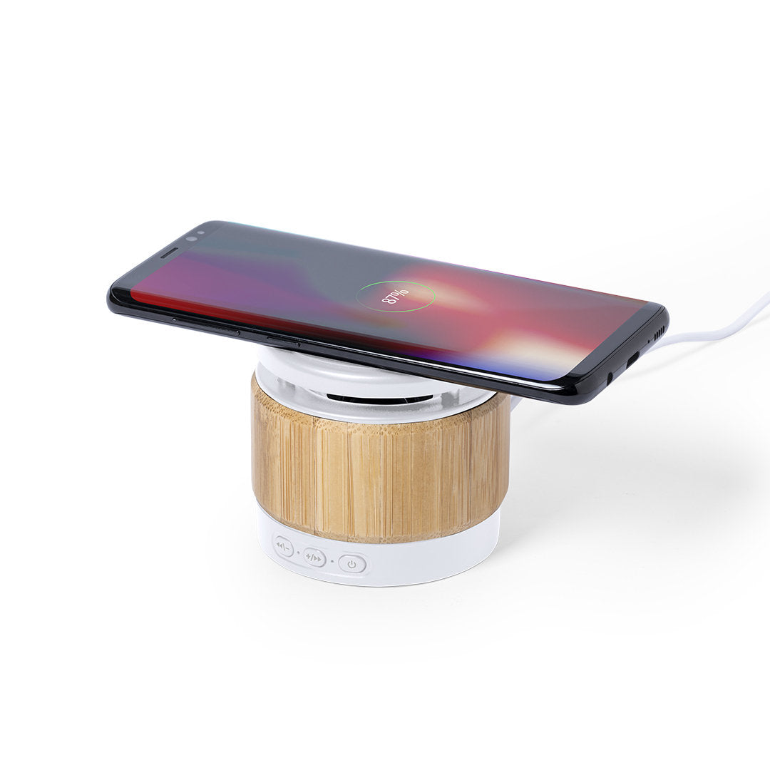 Enceinte Bluetooth Zakrox