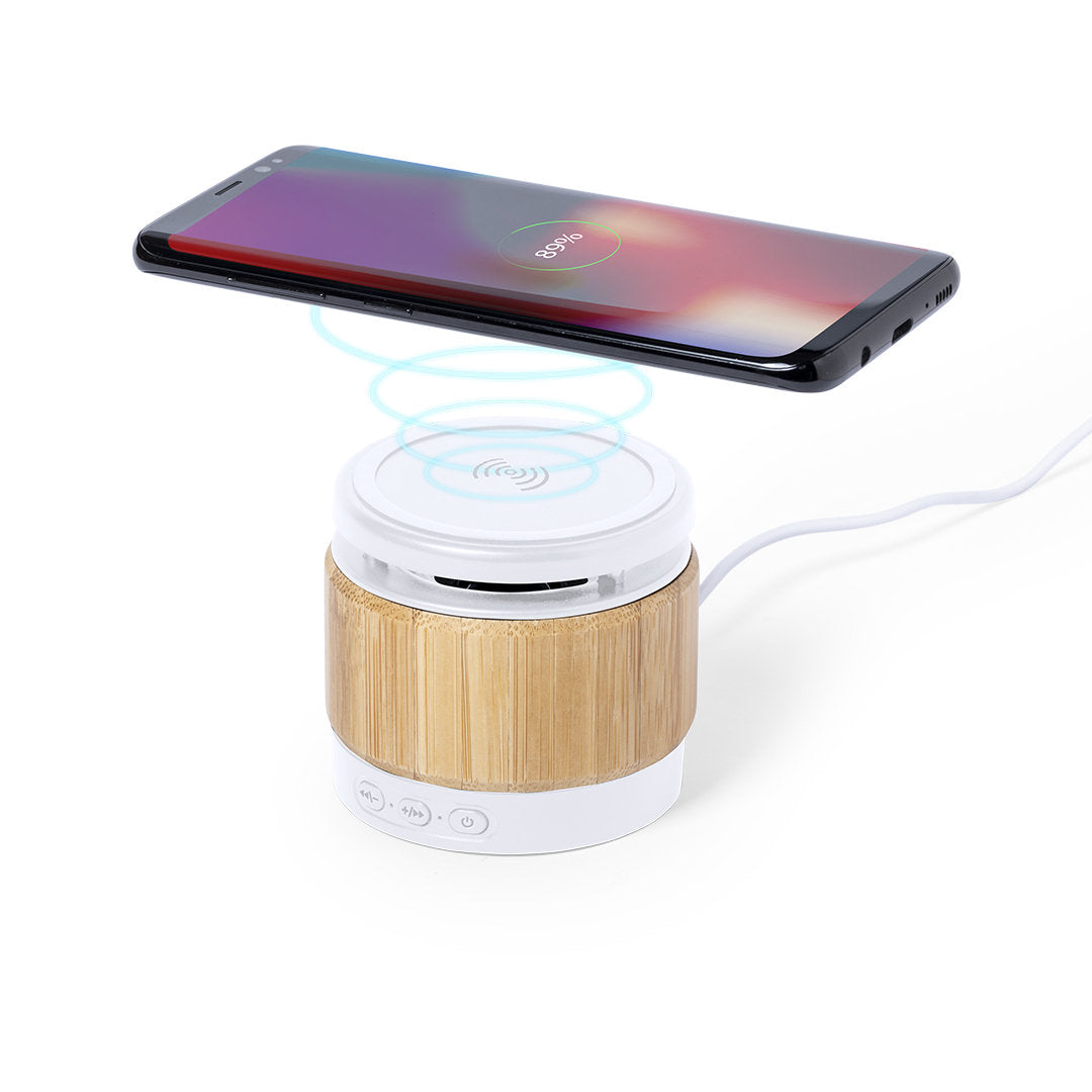Enceinte Bluetooth Zakrox